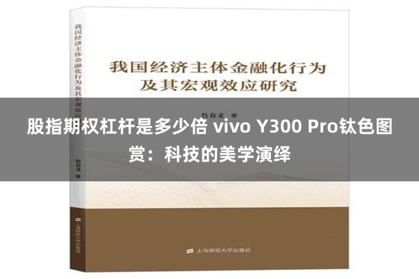 股指期权杠杆是多少倍 vivo Y300 Pro钛色图赏：科