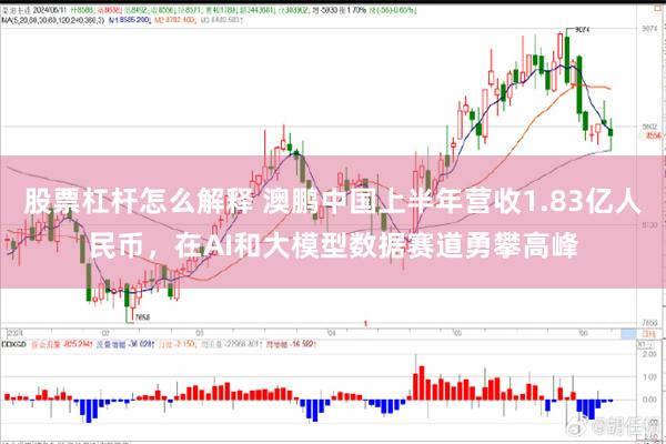 股票杠杆怎么解释 澳鹏中国上半年营收1.83亿人民币，在AI