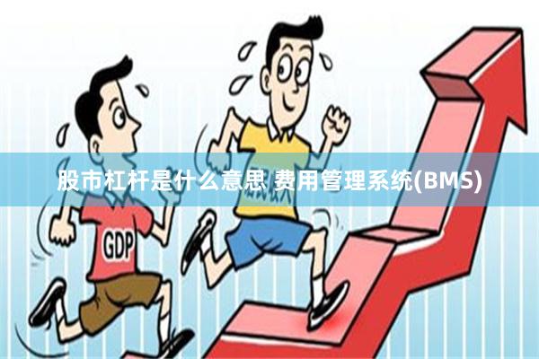 股市杠杆是什么意思 费用管理系统(BMS)