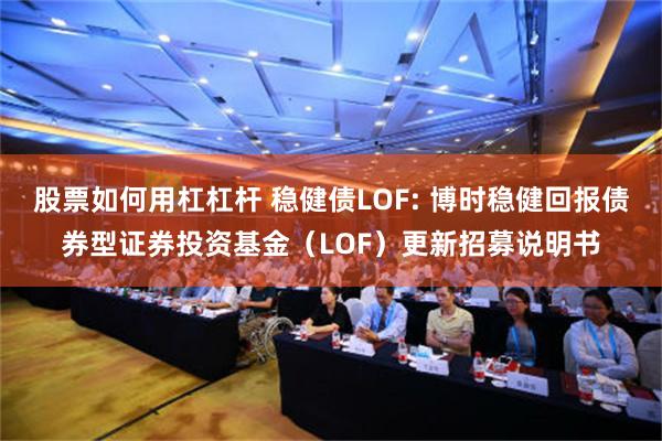 股票如何用杠杠杆 稳健债LOF: 博时稳健回报债券型证券投资