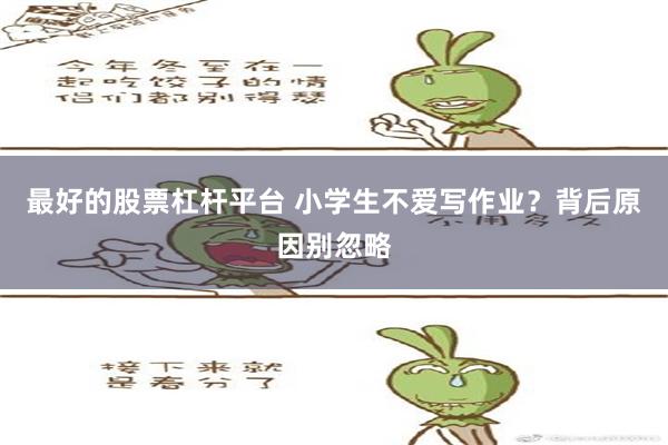 最好的股票杠杆平台 小学生不爱写作业？背后原因别忽略