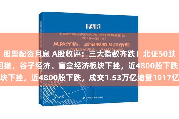 股票配资月息 A股收评：三大指数齐跌！北证50跌3.22%，