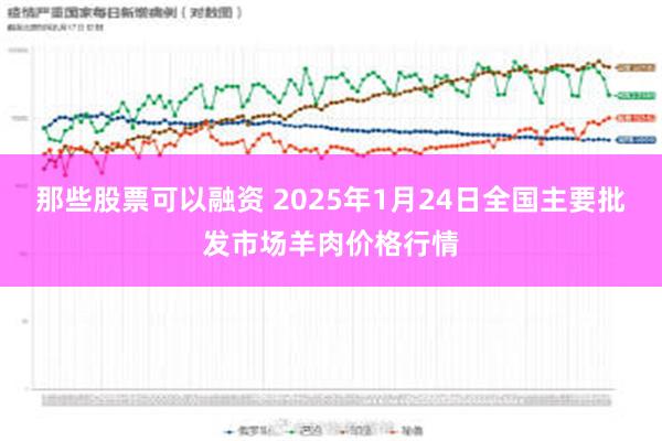 那些股票可以融资 2025年1月24日全国主要批发市场羊肉价