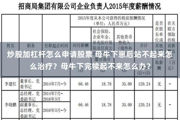 炒股加杠杆怎么申请股票 母牛下崽后站不起来怎么治疗？母牛下完